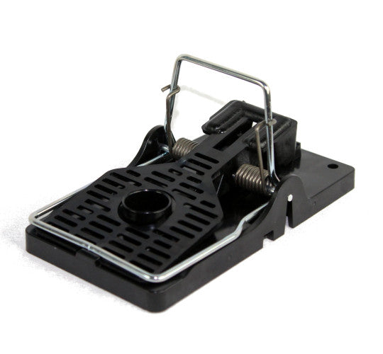 Small Wire Snap Trap